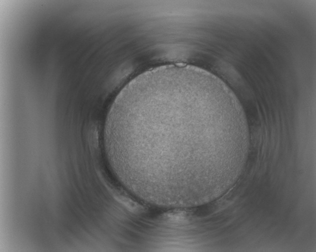 X0000063510120200602032053