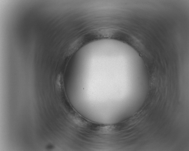 X0000063510122200602032053