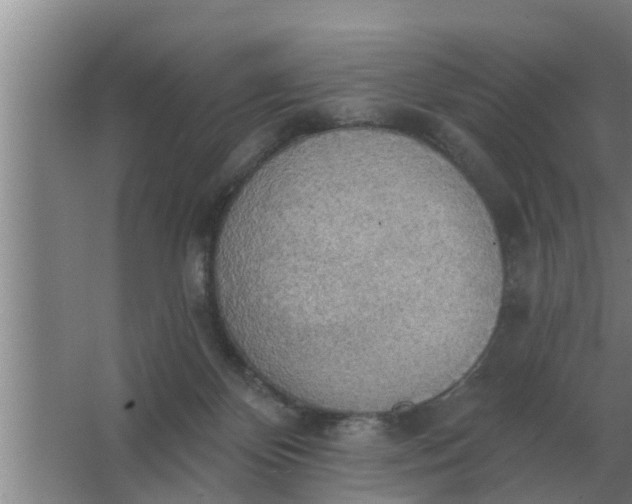 X0000063510124200602032053