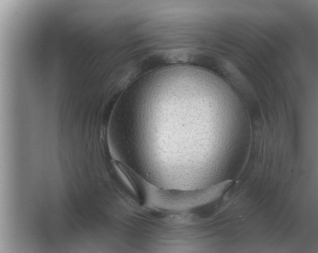 X0000063510125200602032053