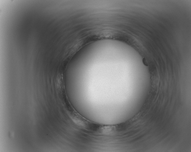 X0000063510126200602032053