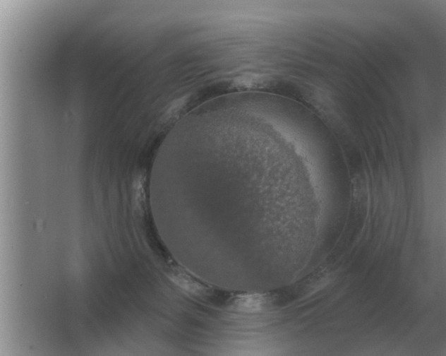 X0000063510127200602032053