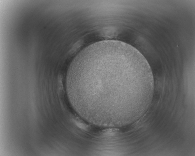 X0000063510128200602032053