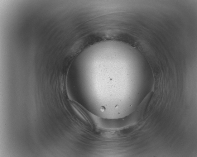 X0000063510129200602032053