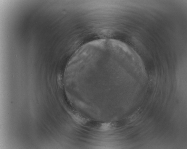 X0000063510130200602032053