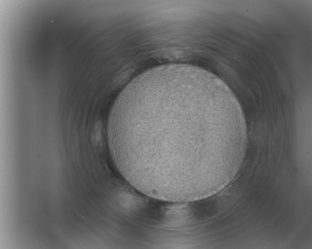 X0000063510132200602032053