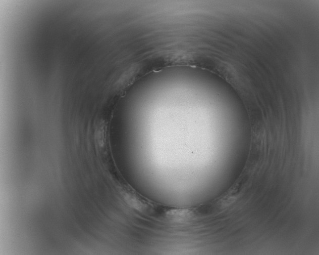 X0000063510133200602032053