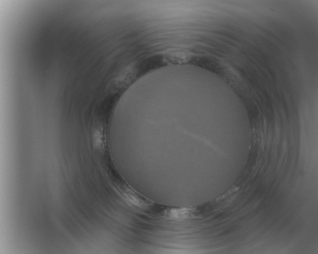 X0000063510134200602032053