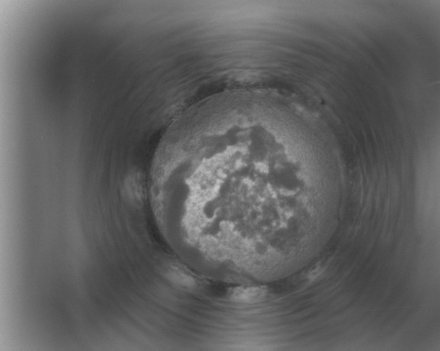 X0000063510135200602032053