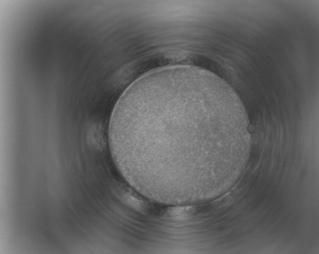 X0000063510136200602032053