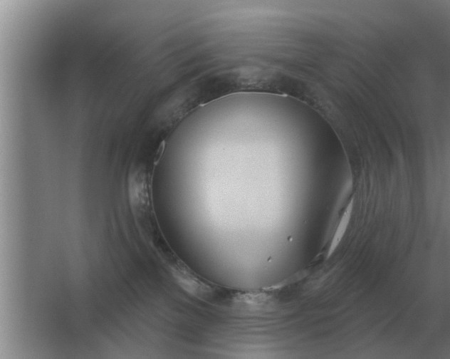 X0000063510137200602032053