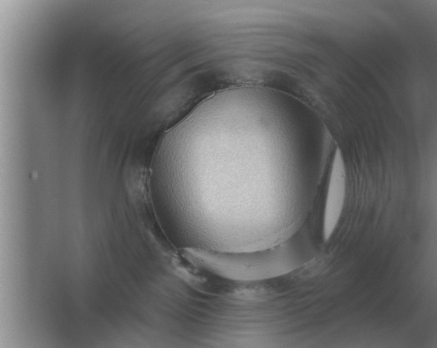 X0000063510141200602032053