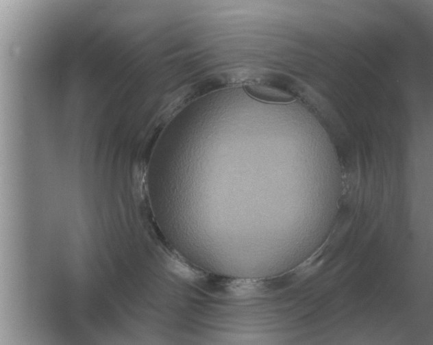 X0000063510142200602032053