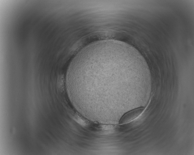 X0000063510144200602032053