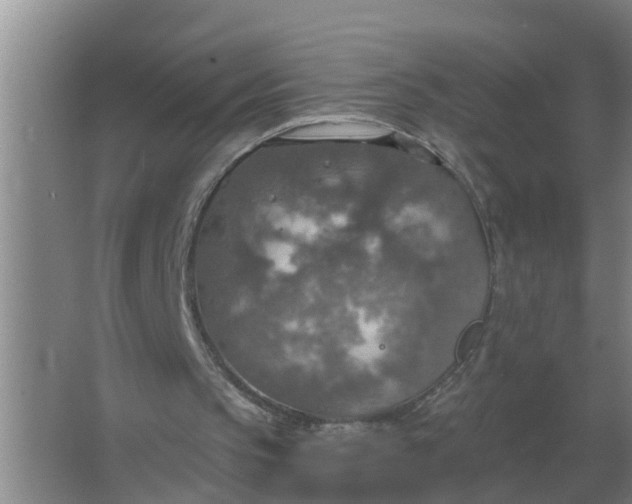 X0000063510145200602032052