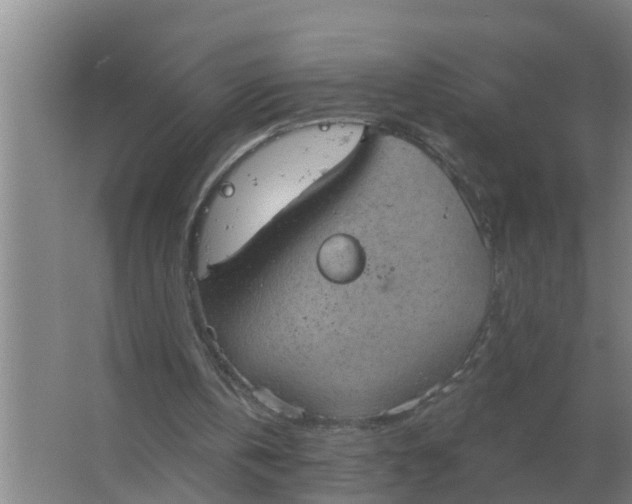 X0000063510146200602032052