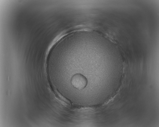 X0000063510150200602032052