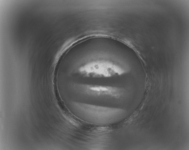 X0000063510151200602032052