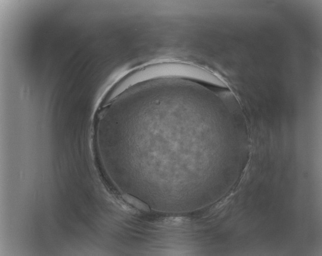 X0000063510152200602032052