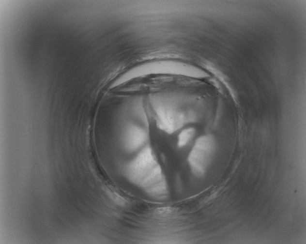 X0000063510153200602032052