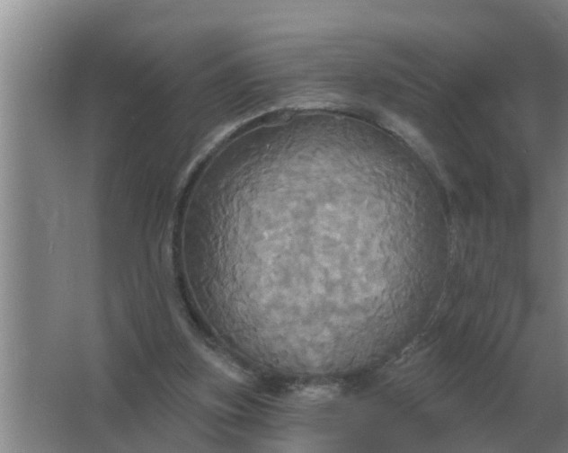 X0000063510155200602032052