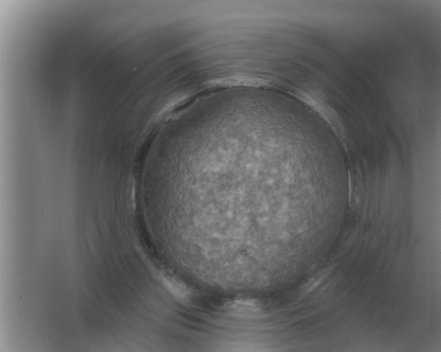 X0000063510157200602032052