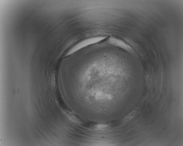 X0000063510158200602032052