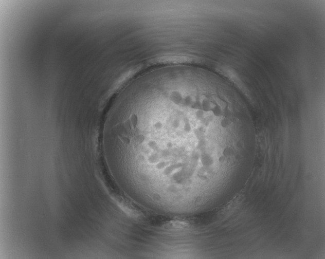 X0000063510159200602032052