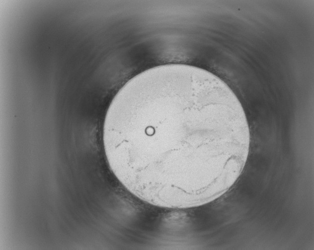 X0000063510162200602032052