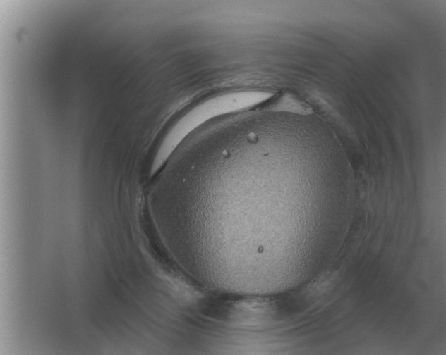 X0000063510164200602032052