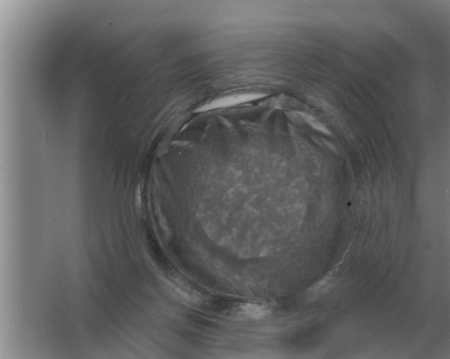 X0000063510166200602032052