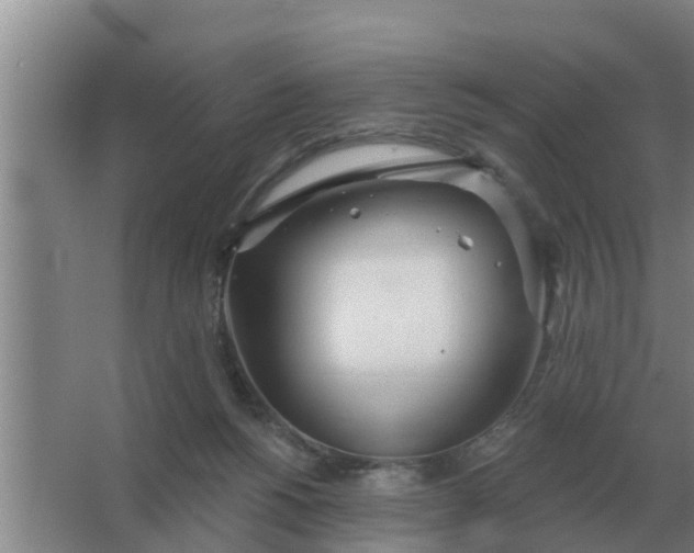 X0000063510168200602032052