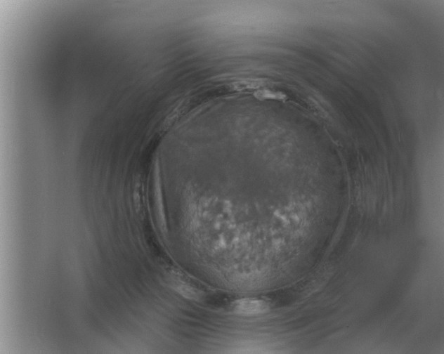 X0000063510169200602032052