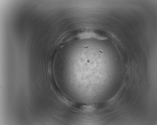 X0000063510170200602032052