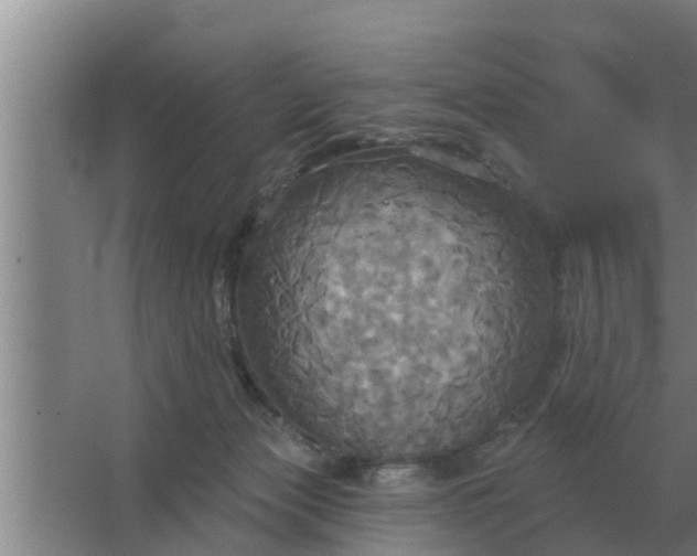 X0000063510173200602032053