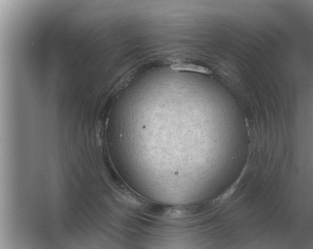 X0000063510174200602032053