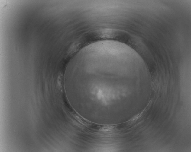 X0000063510175200602032053