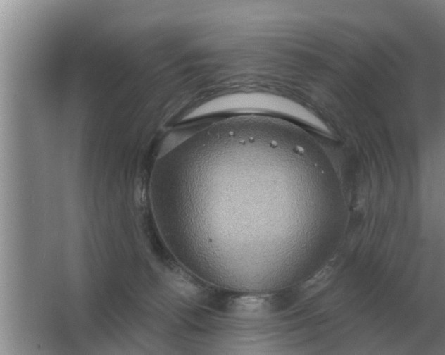 X0000063510176200602032053