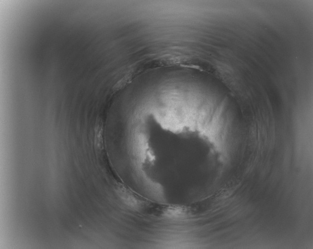 X0000063510177200602032053