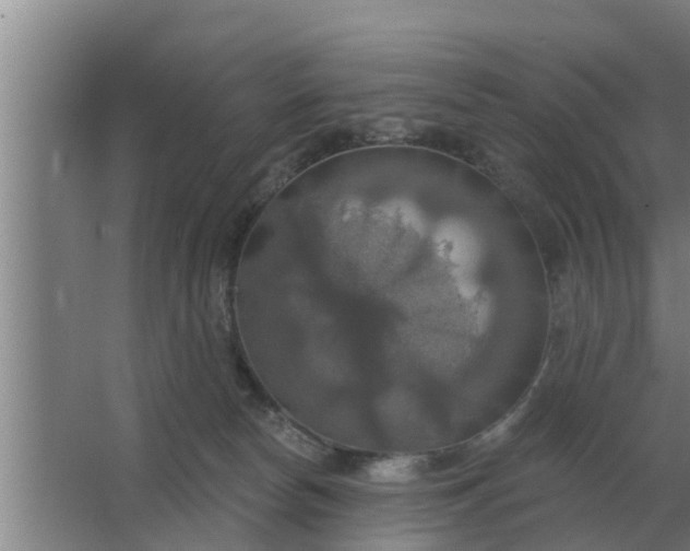 X0000063510178200602032053