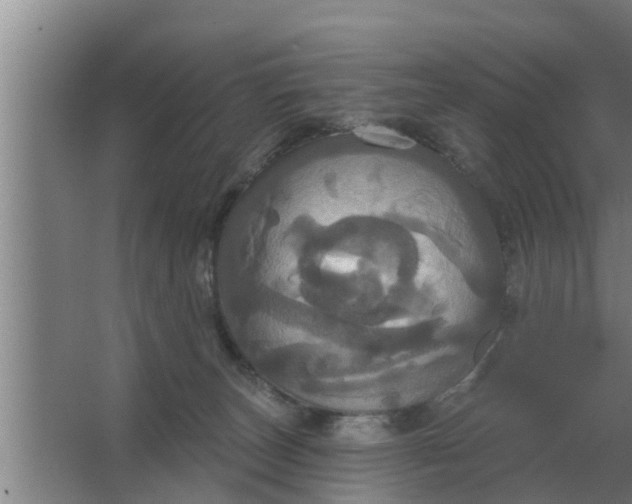 X0000063510179200602032053