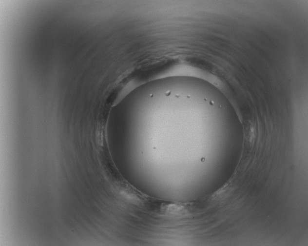 X0000063510180200602032053