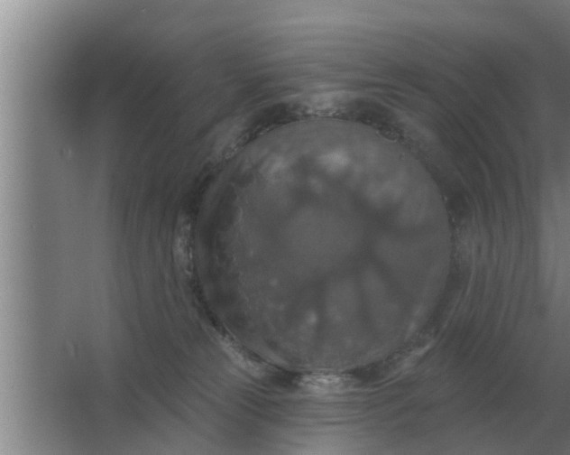 X0000063510181200602032053