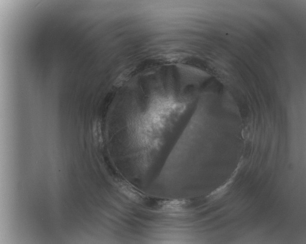 X0000063510182200602032053