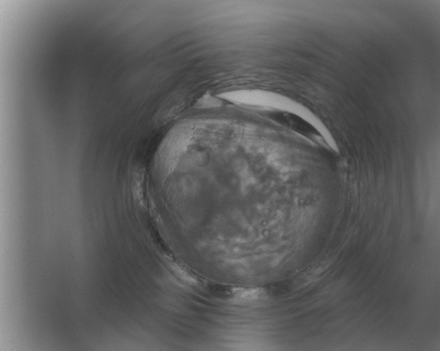 X0000063510185200602032053