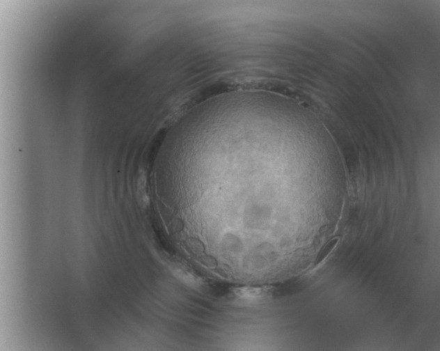 X0000063510187200602032053