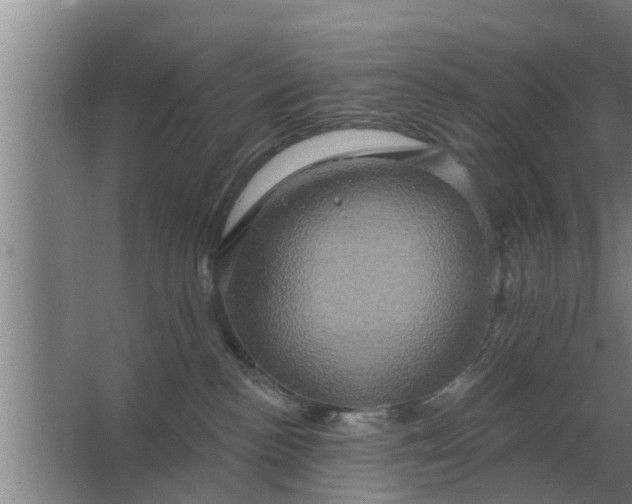 X0000063510188200602032053