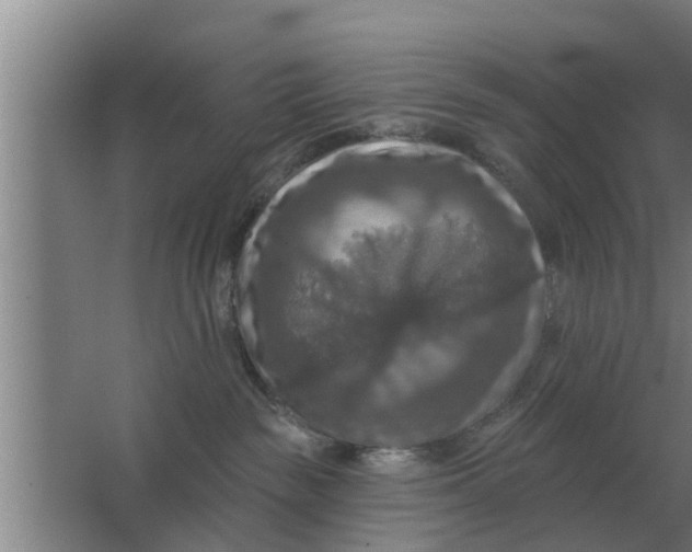 X0000063510189200602032053