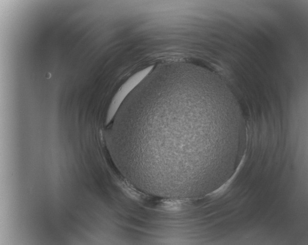 X0000063510190200602032053