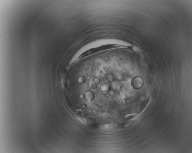 X0000063510191200602032053